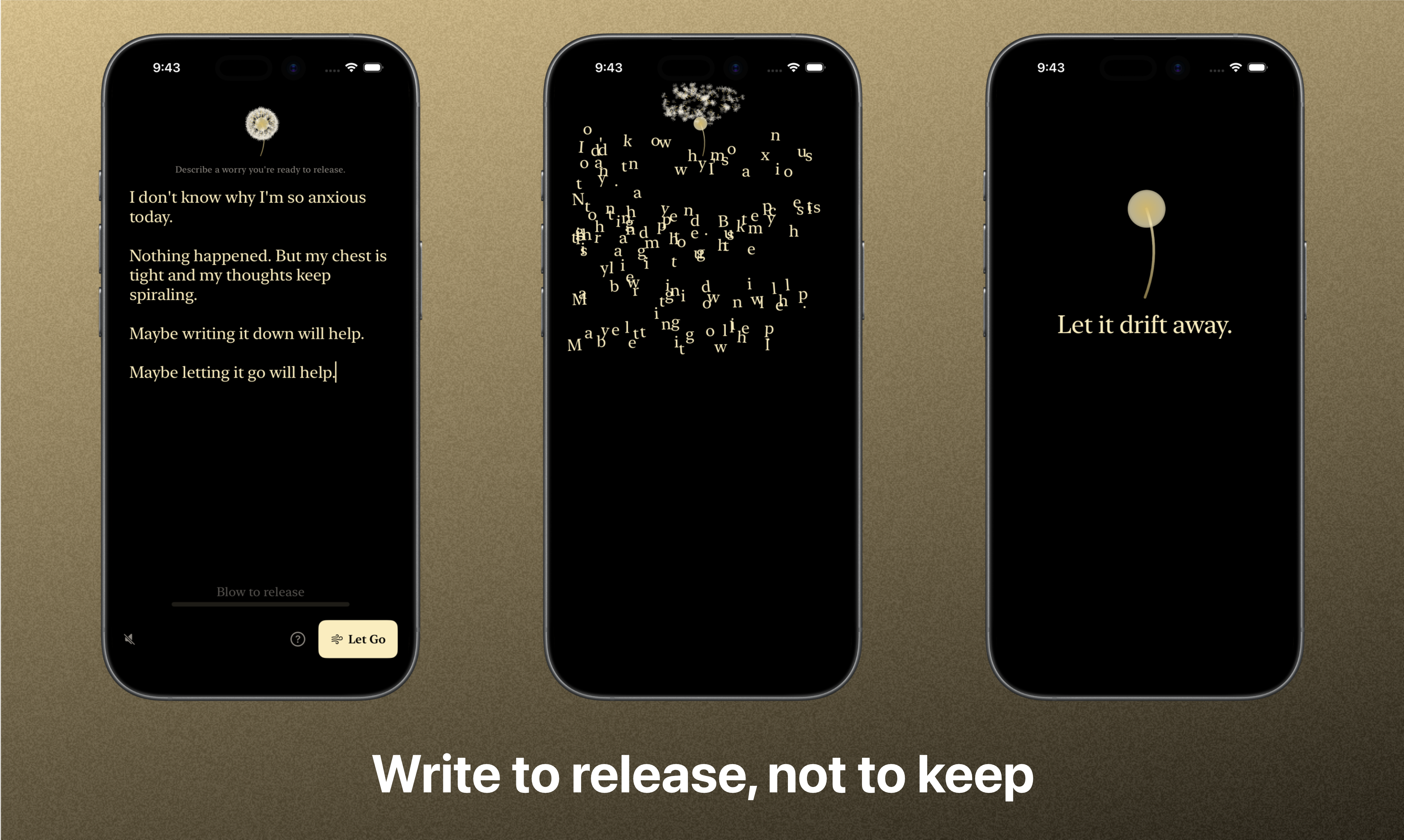 Dandelion – Write and Let Go - Screenshot 2 showing product features and functionality