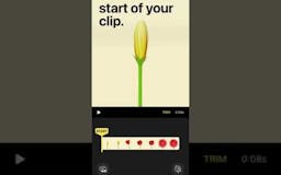 Start Here by Tinrocket media 1