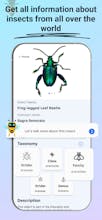 Insect Identifier: Bug Finder gallery image