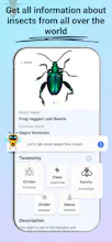 Insect Identifier: Bug Finder gallery image