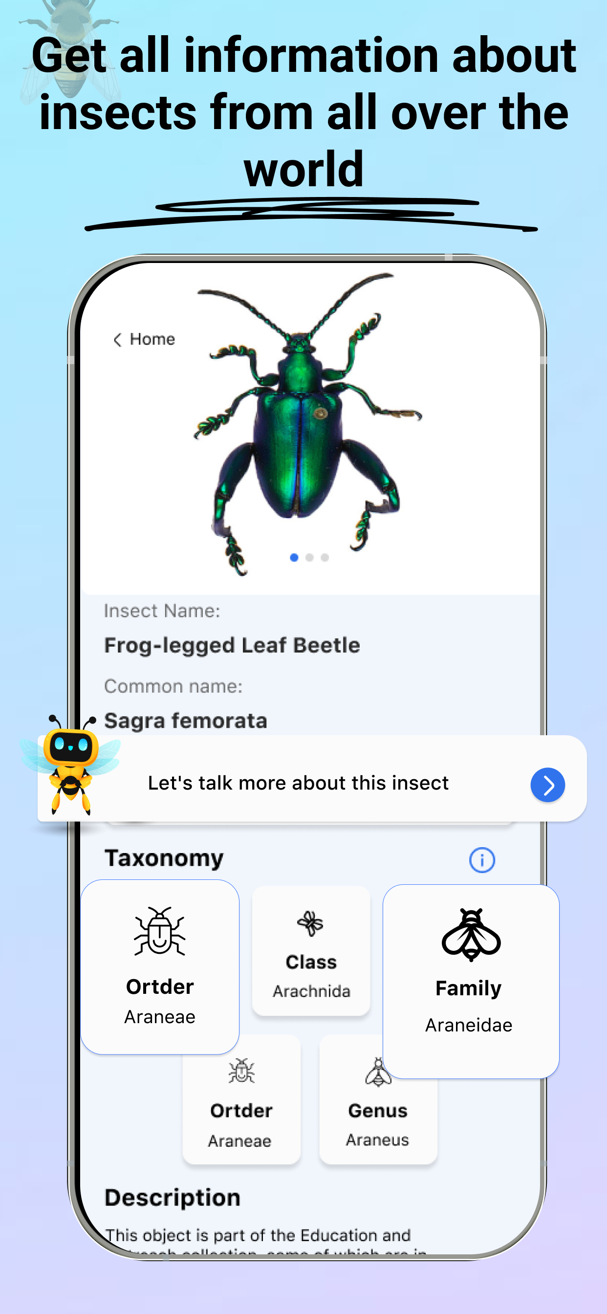 Insect -identificatie: bugvinder media 7