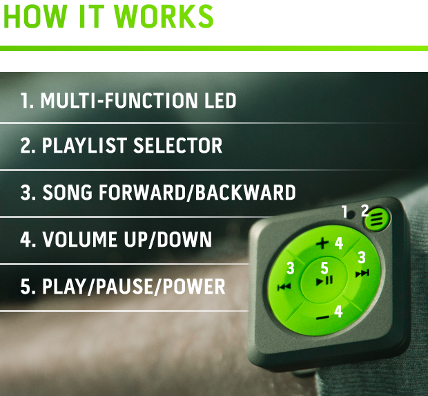 Mighty gallery image