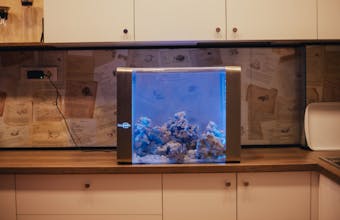 Bluenero gallery image