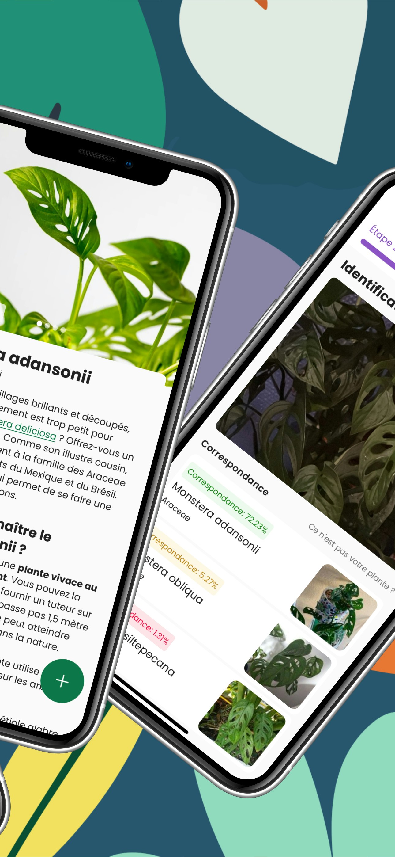 Monstera - The app that takes care of your plants ! media 2