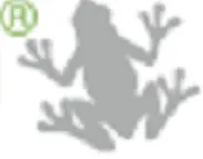 Glass Frog