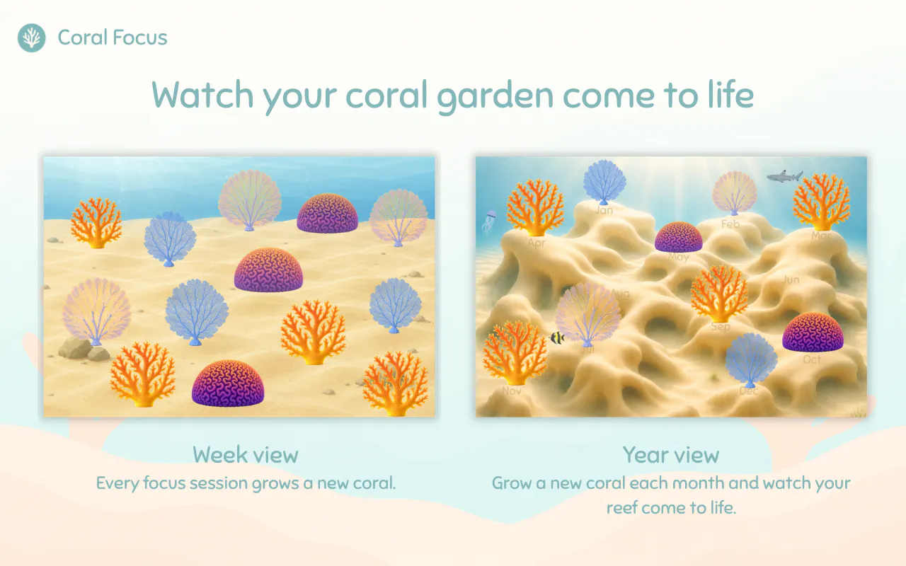 Coral Focus screenshot