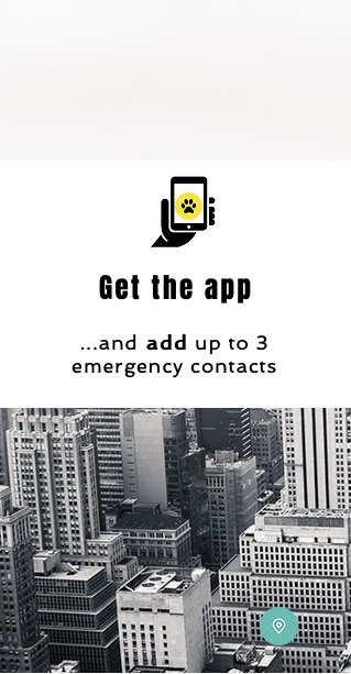 GoGo Walk 🦮 🔘 gallery image