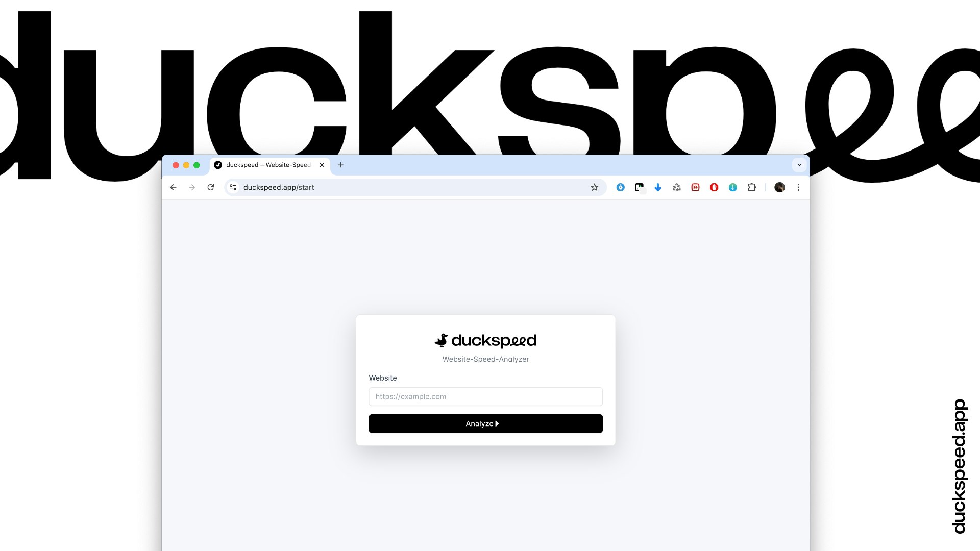 ördek - Web Sitesi Hız Analizörü medya 3
