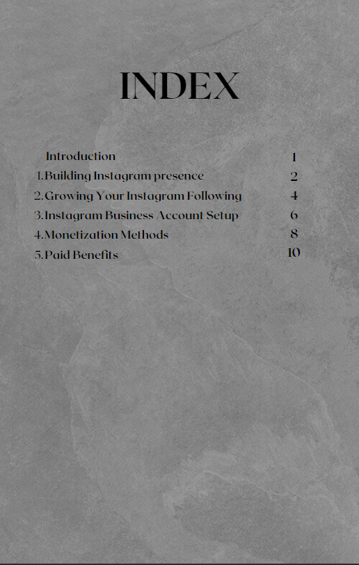 "Instaprofit" media 2
