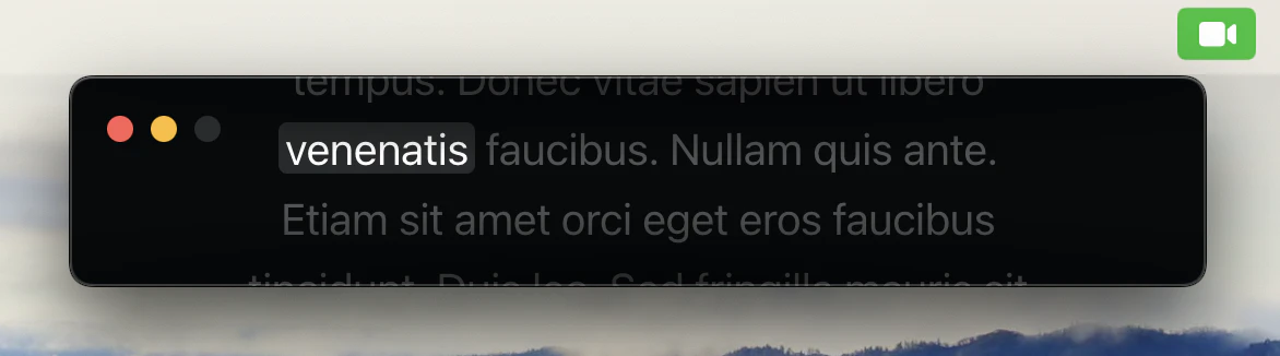 PromptCam - MacOS secret teleprompter 截图 3