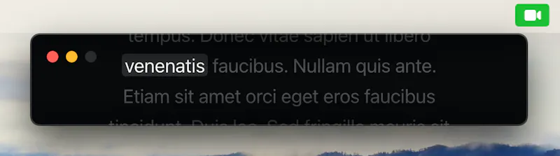 PromptCam - MacOS secret teleprompter screenshot 3