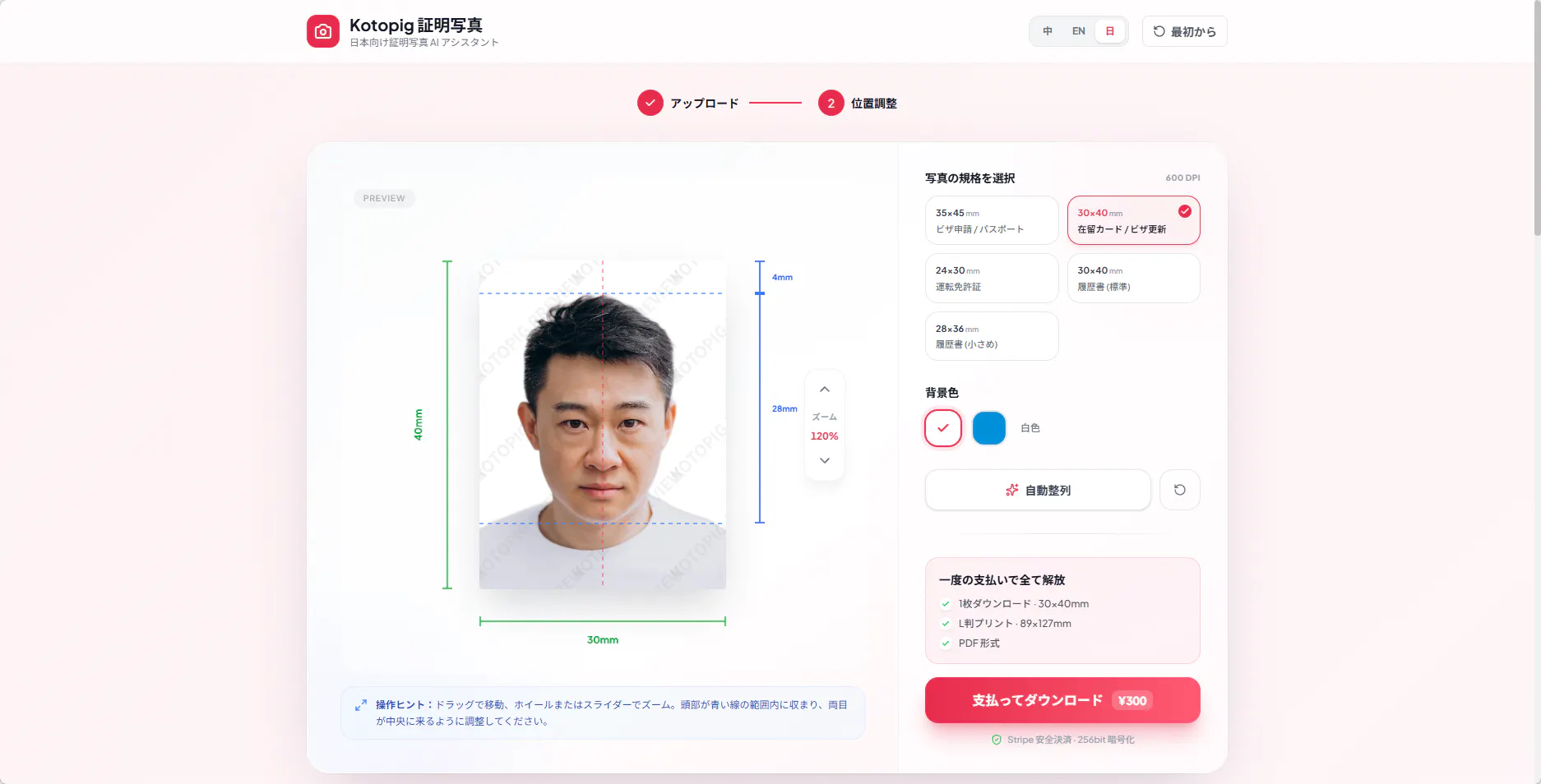 Kotopig Visa Photo 截图 2