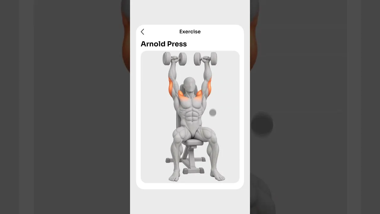 Body Workout — Exercise Tracker gallery image