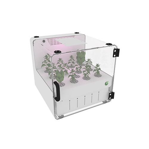 CityCrop gallery image