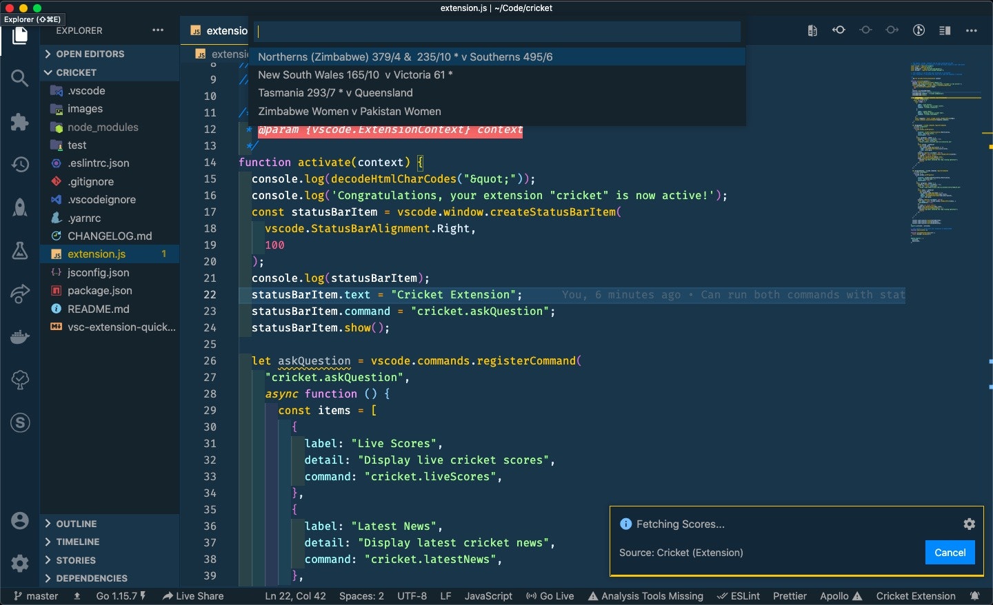VSCode Cricket Extension gallery image