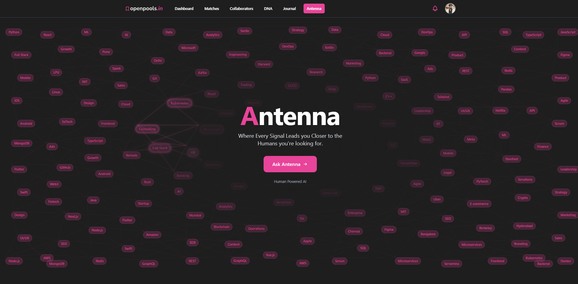 OpenPools.in gallery image