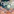 The Outer Worlds 2 Guide