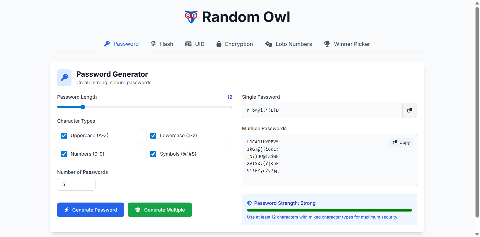 Random Owl gallery image