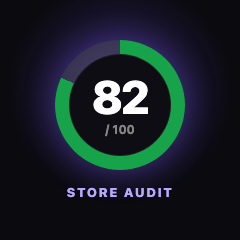Store SEO Audit