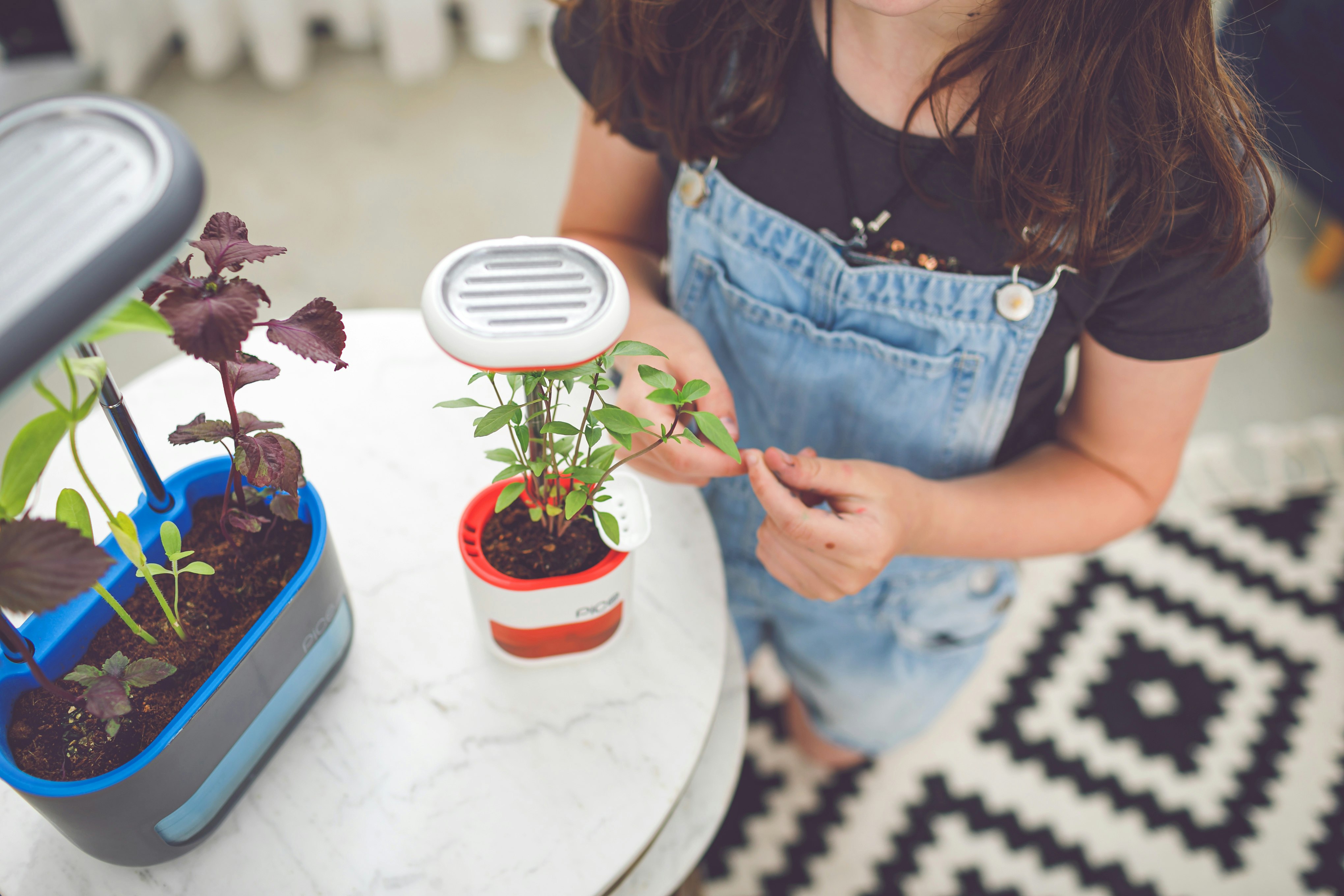 Pico Max gallery image