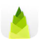 Bamboo