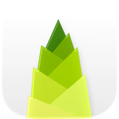 Bamboo logo