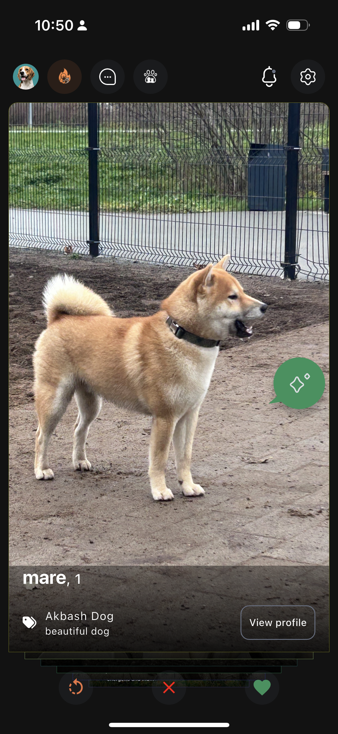 Minupet gallery image