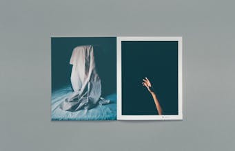 Alabaster gallery image