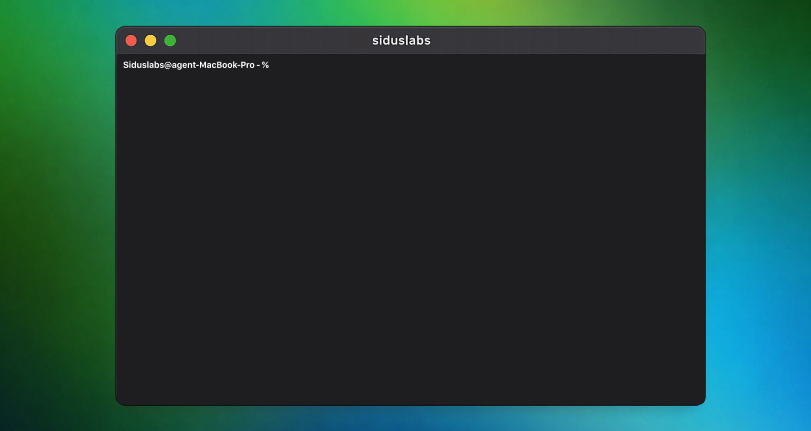 Siduslabs gallery image