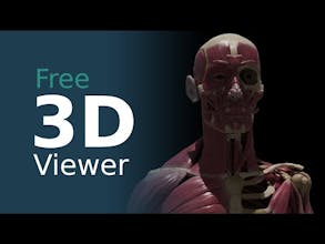 3D Anatomy Viewer 4 Artists gallery image