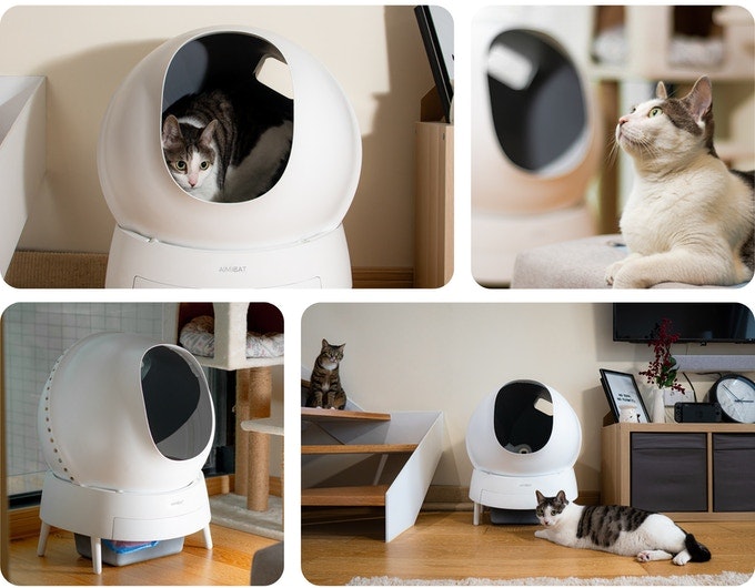 Aimicat gallery image