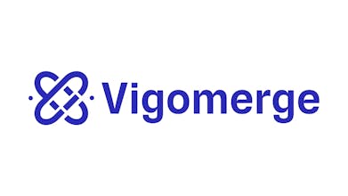 Vigomerge Inc. gallery image
