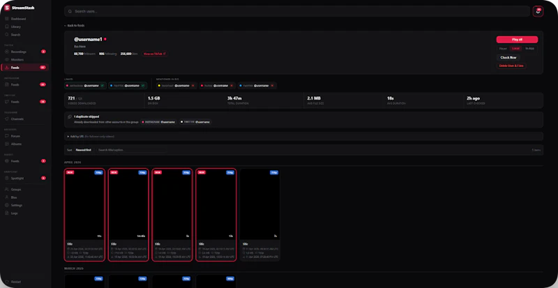 StreamStash screenshot 3