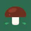 MushScout