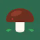 MushScout