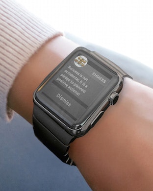 GAME OF CHOICES II gallery image