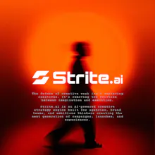 Strite.ai gallery image