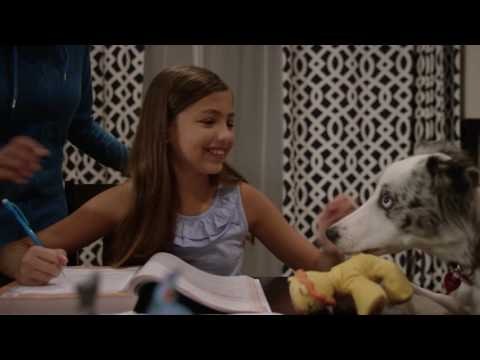 Neighbor gallery image