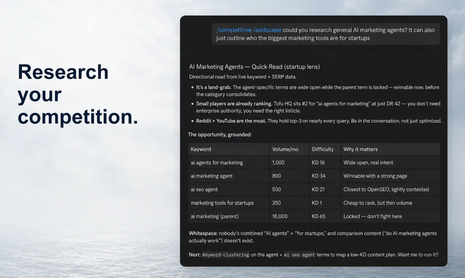 OpenSEO screenshot 4