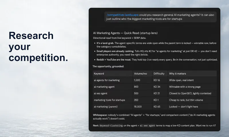 OpenSEO screenshot 4