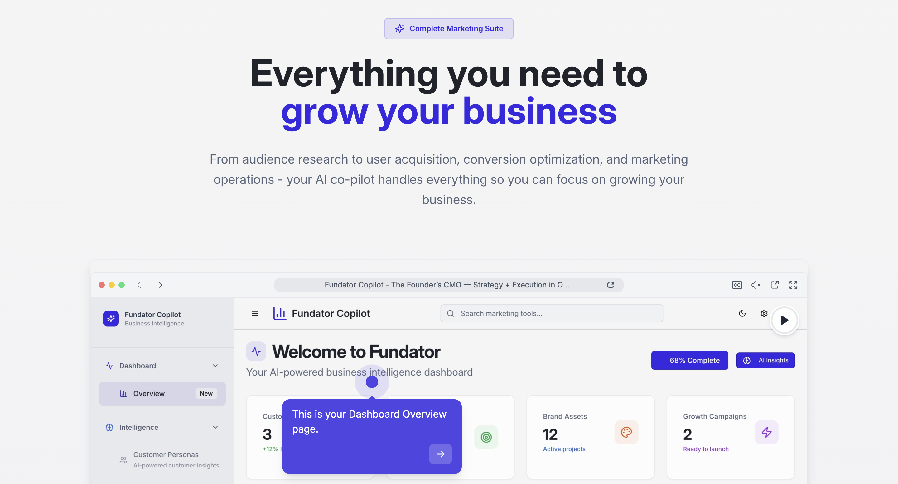 Fundator Copilot gallery image