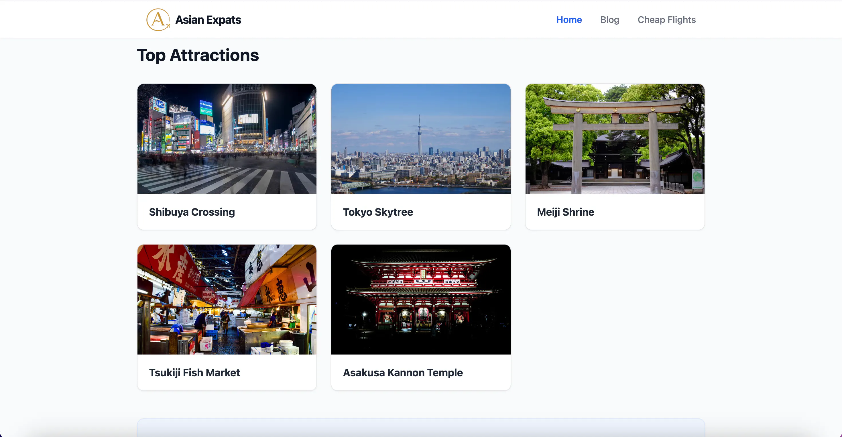 Asian Expats gallery image