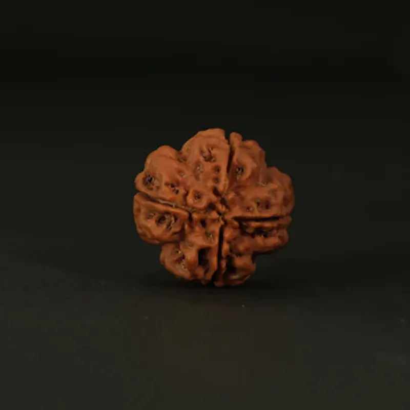 HarShiv Ganga screenshot 2