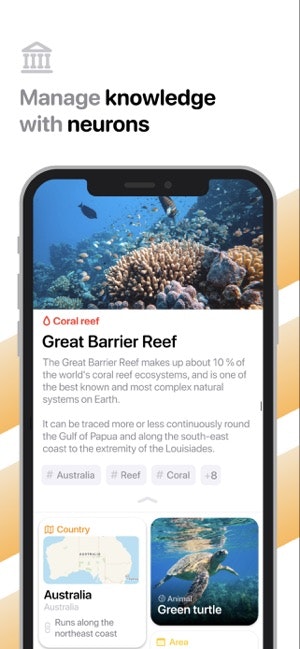 Zenchi gallery image