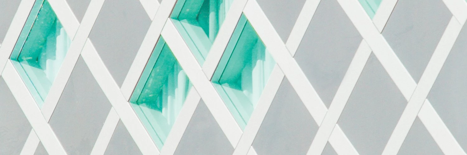 Joanna Wlaźlak cover