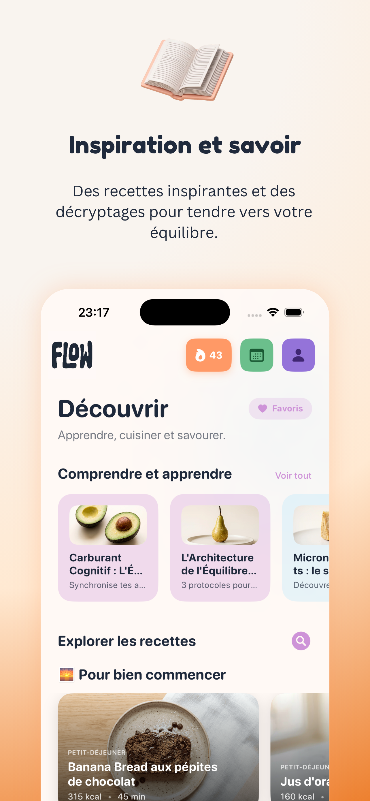 Flow Daily Scan IA gallery image