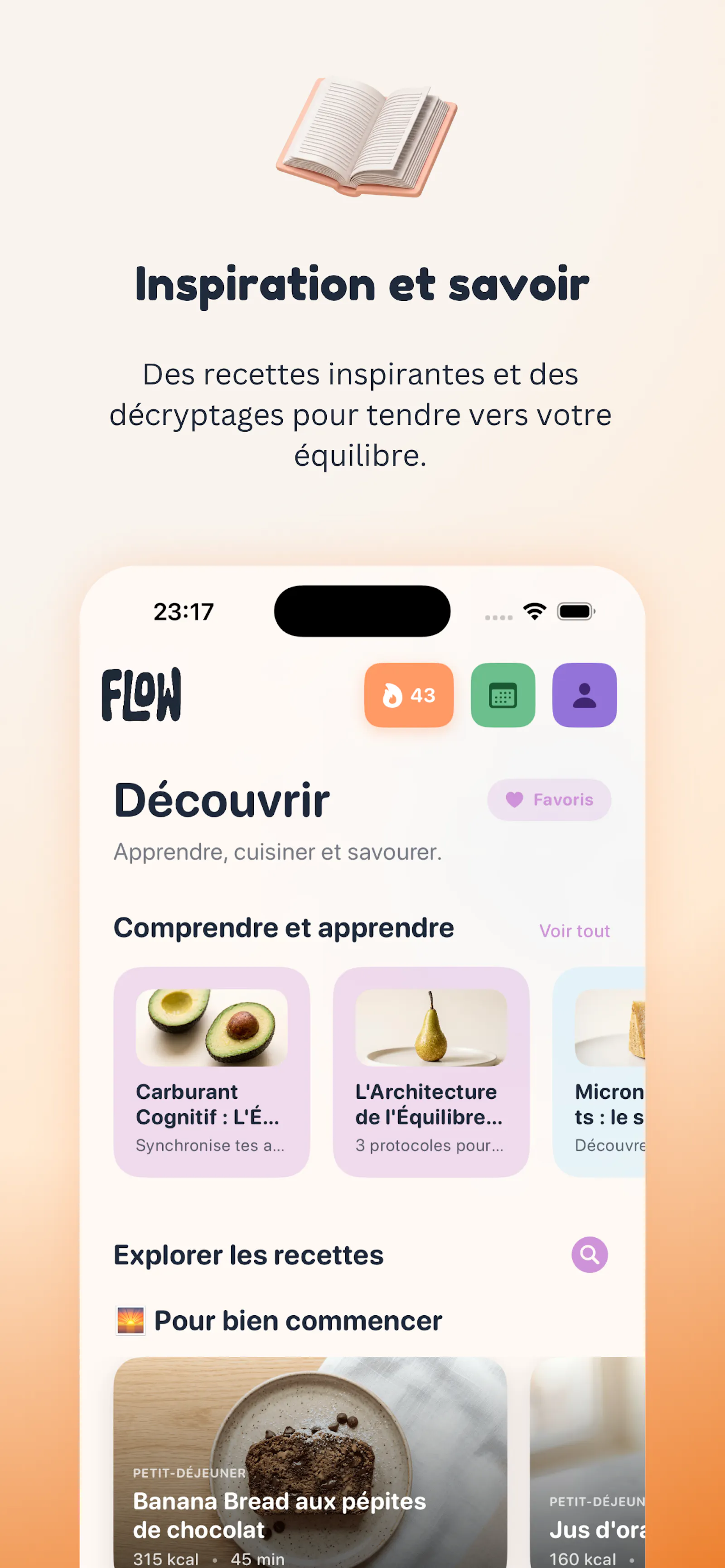 Flow Daily Scan IA screenshot 5