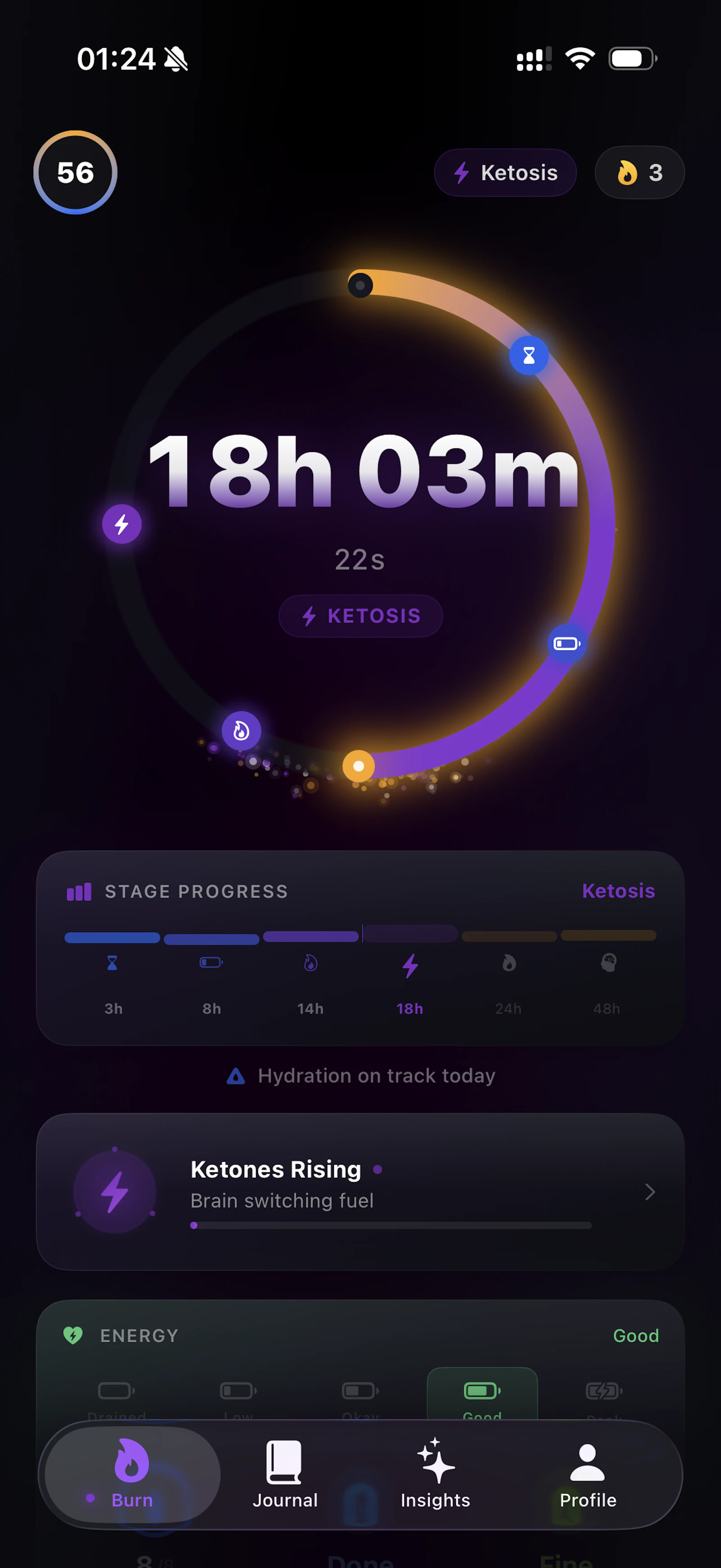 Burn screenshot 17