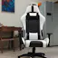 IWMH Racing Gaming Style Chair