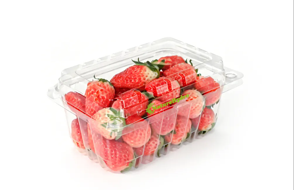Packaging para Frutas